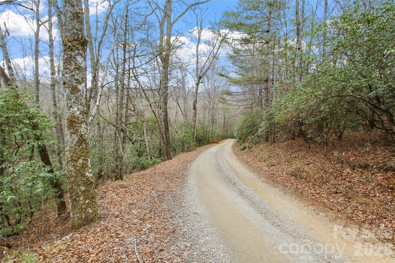 Lot 12 Patton Thicket Rd., Burnsville, NC 28714
