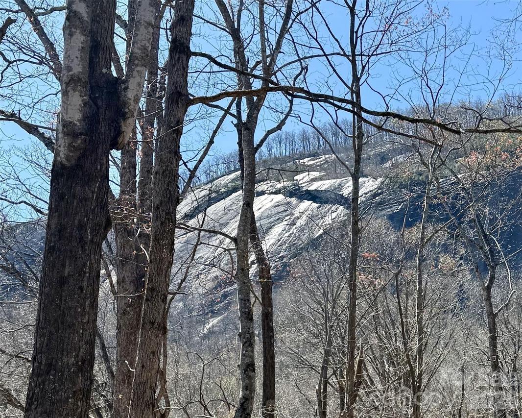 Lot 229 Swallow Ln. #229, Lake Lure, NC 28746