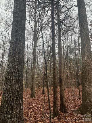 New Homes For Sale This Week in Waxhaw: March 6th to March 12th