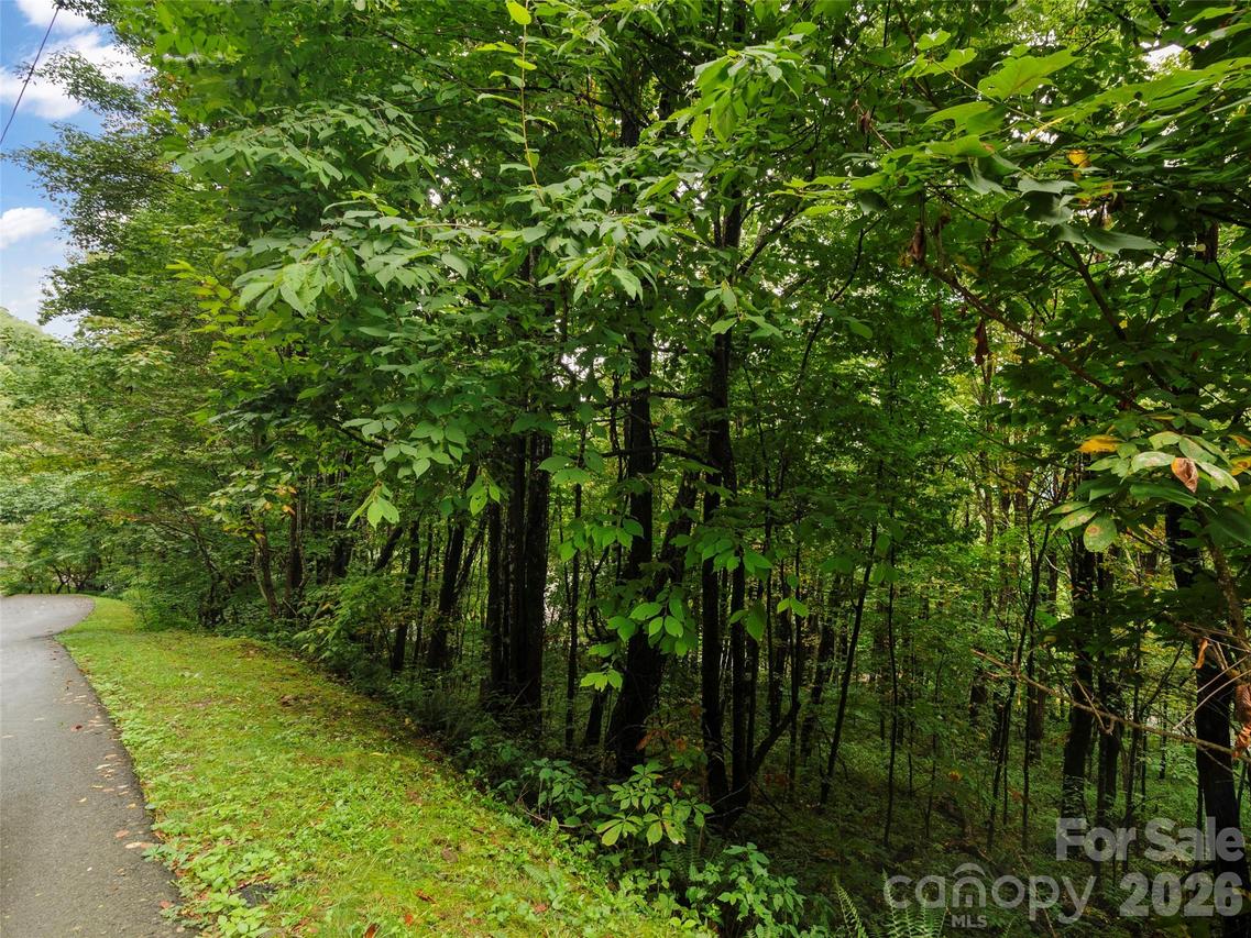 Lot 28 Jefferson Ln., Waynesville, NC 28786