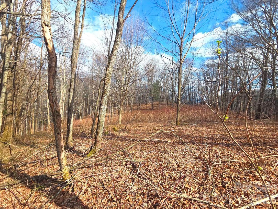 250 Rome Beauty Rd. #TR5, Waynesville, NC 28785