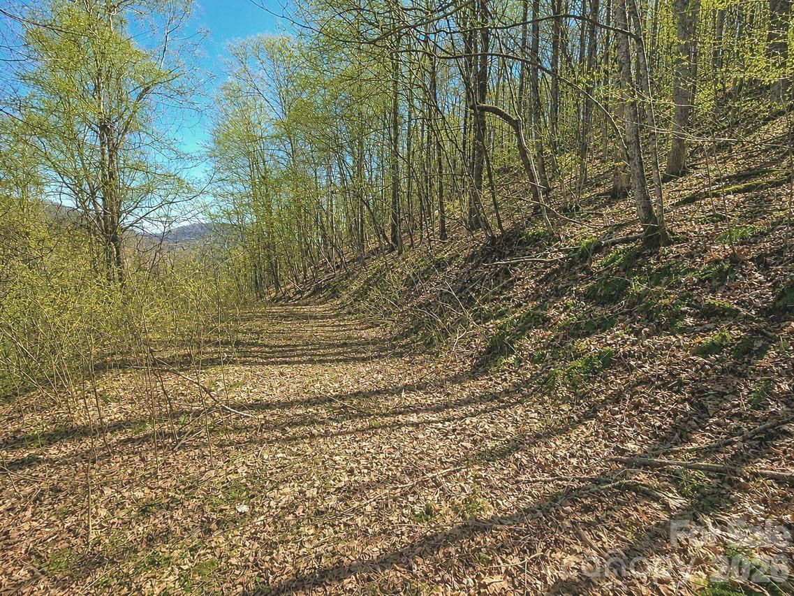 1200 Chestnut Flats Ln. #138, Waynesville, NC 28786