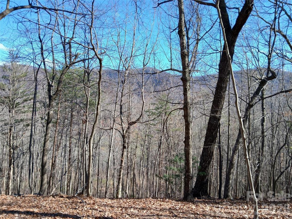 00 Piney Gate Rd. #39, White Oak, NC 28773