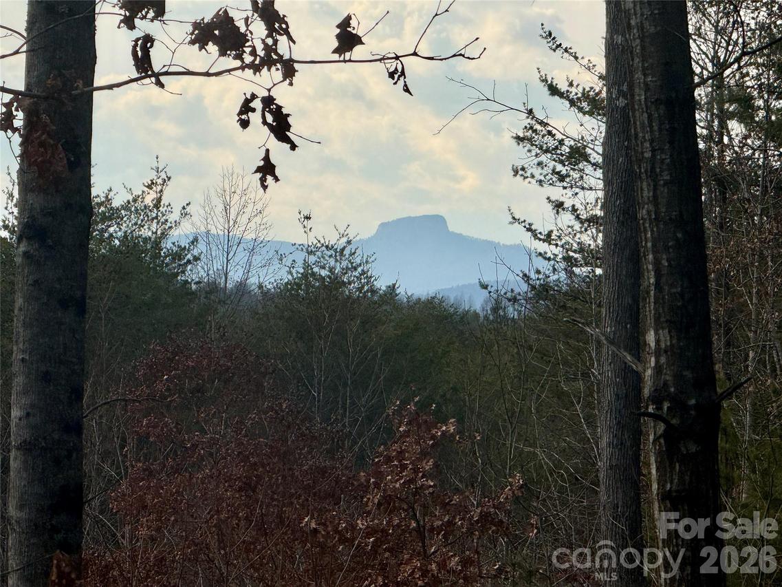 913 High Valley Way, Lenoir, NC 28645