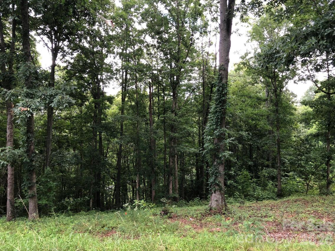 45 Sweet Fern Pkwy. #43, Asheville, NC 28804