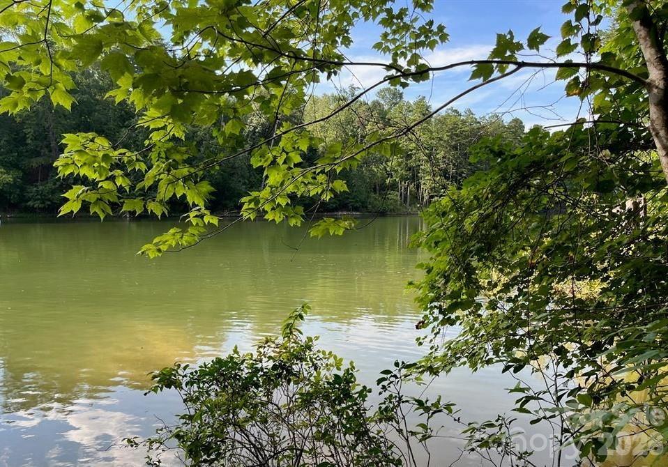 00 Canoe Dr. #44, Mill Spring, NC 28756