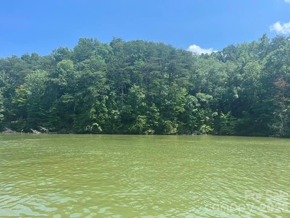 00 Canoe Dr. #44, Mill Spring, NC 28756