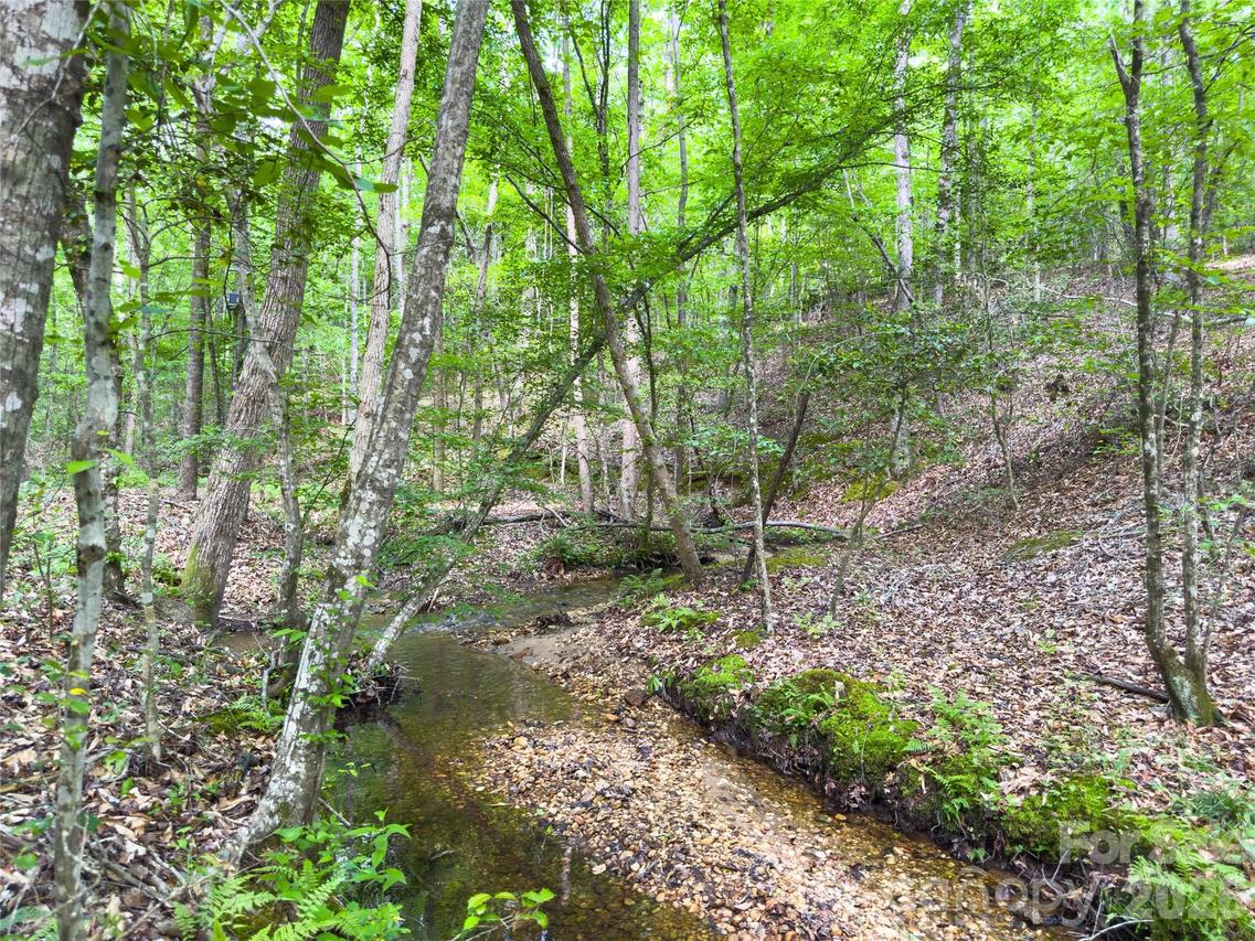 Old Charlotte Hwy., Rockingham, NC 28379