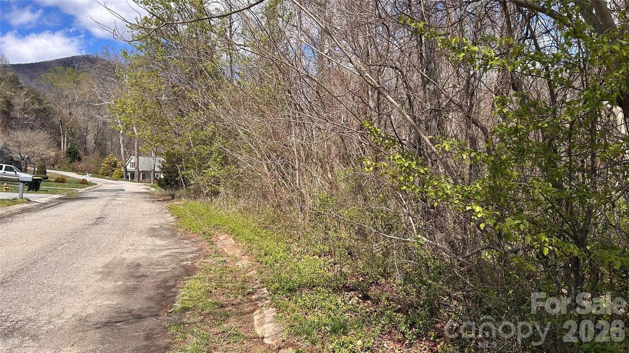 Lynnbrook Way, Columbus, NC 28722