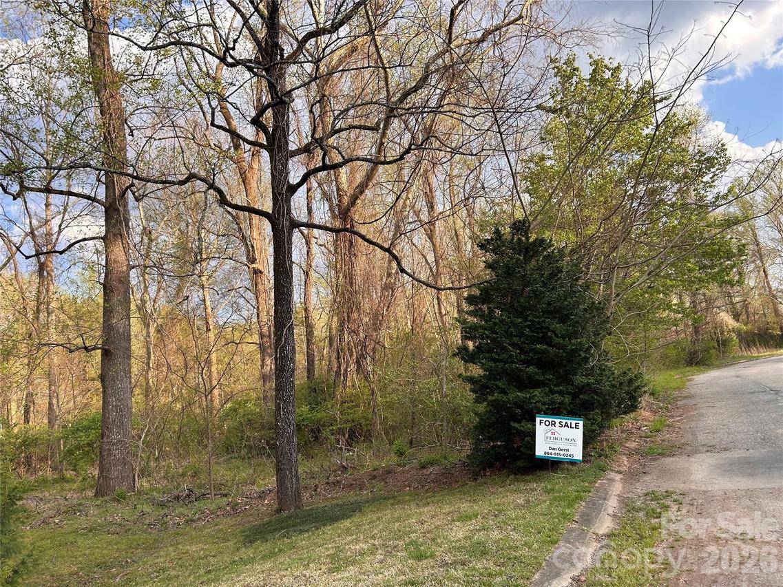 Lynnbrook Way, Columbus, NC 28722