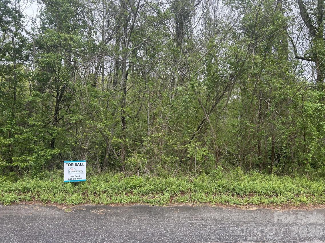 Lynnbrook Way, Columbus, NC 28722