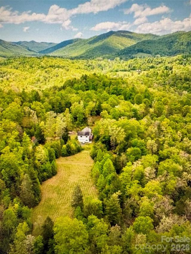 2143 Rabbit Hop Rd., Spruce Pine, NC 28777