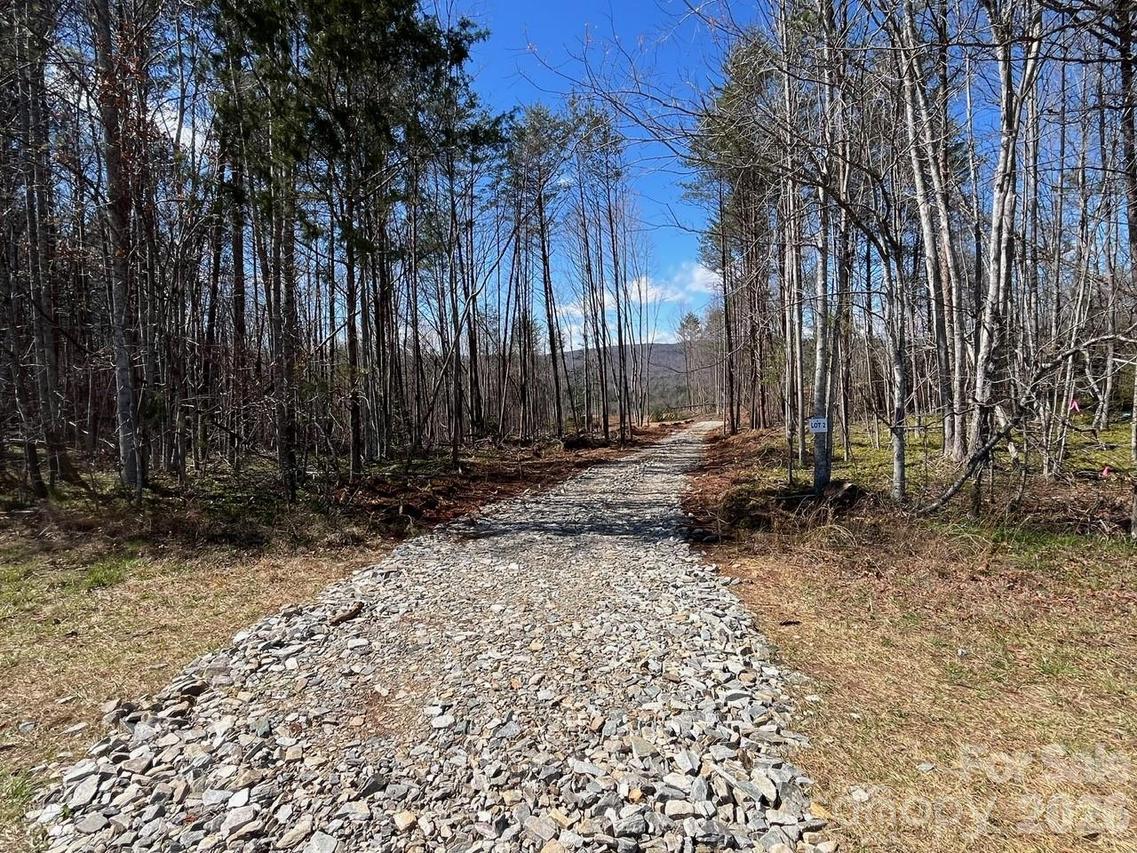 V/L Vein Mountain Rd. #2, Nebo, NC 28761