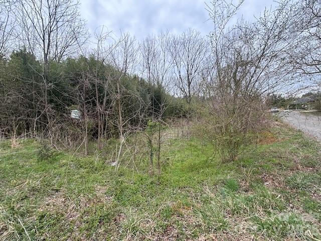 99999 Tatoonie Ln., Asheville, NC 28804