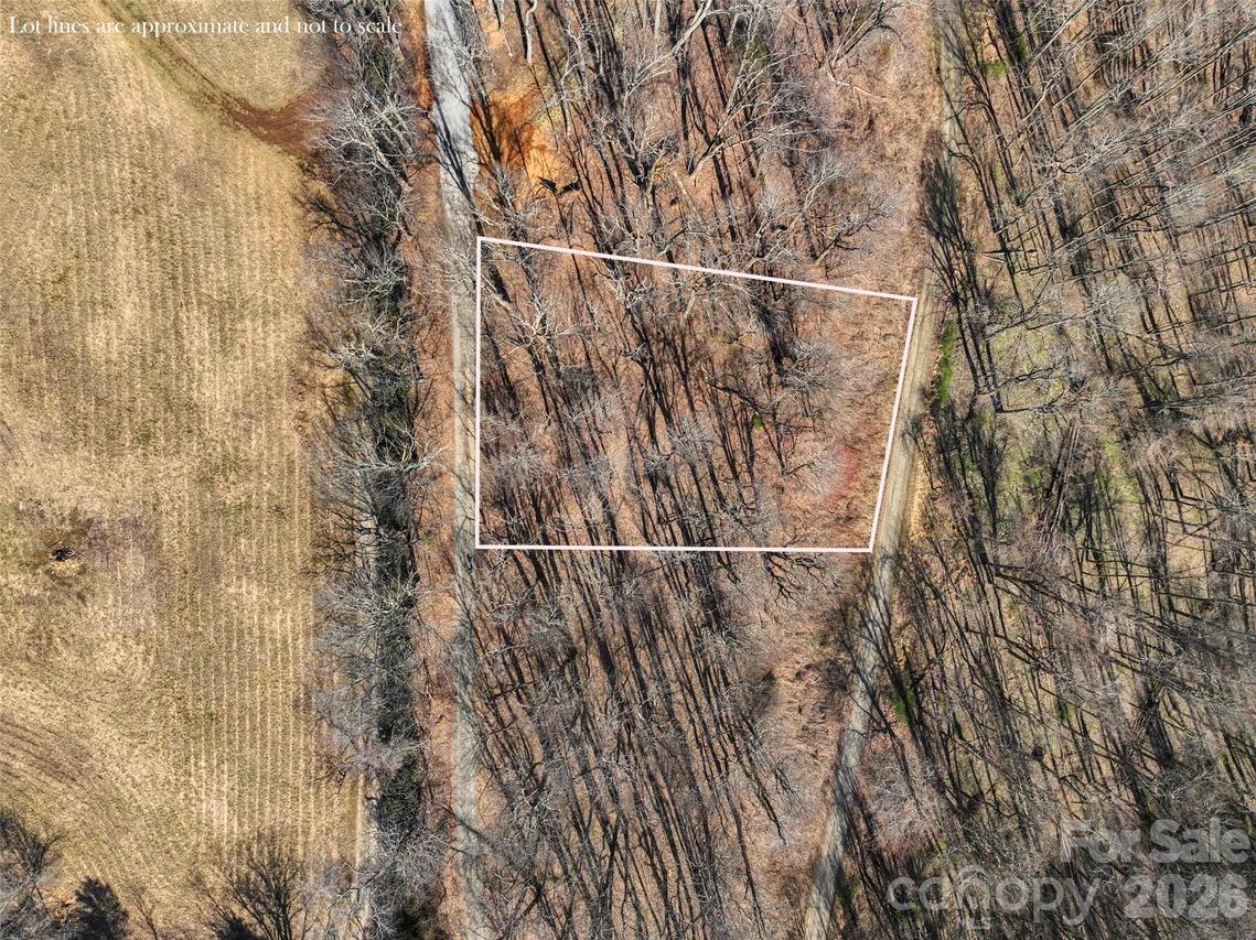 Lot 32 Strawberry Ridge Rd., Little Switzerland, NC 28749