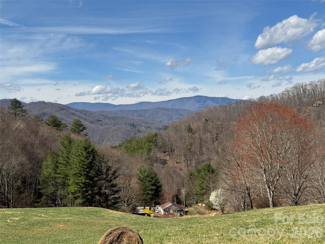 270 W Anielee Ln., Clyde, NC 28721