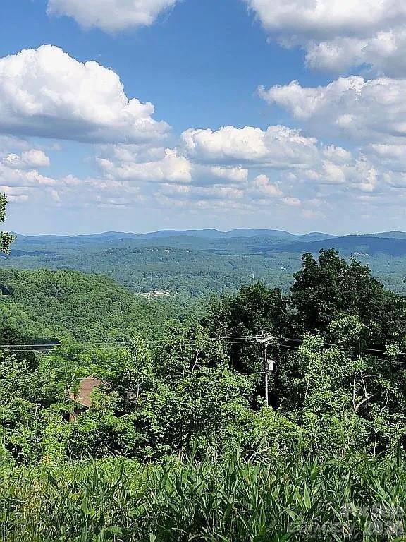 000 Alta Cir., Hendersonville, NC 28739