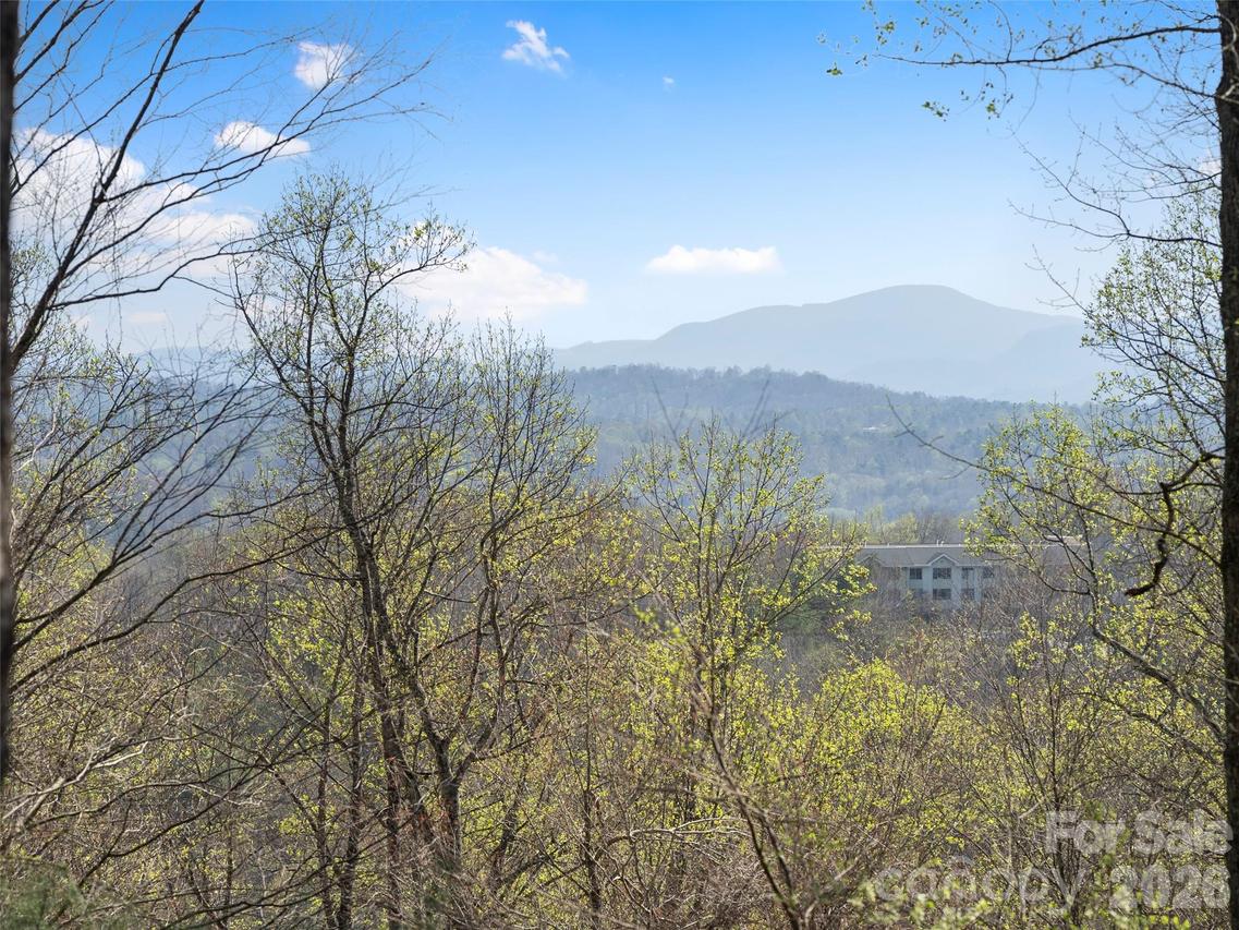 44 Ridge Pine Tr. #83, Arden, NC 28704