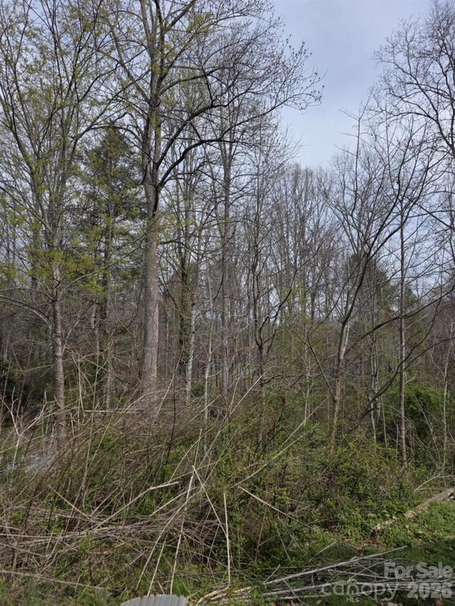 41 Jack Rabbit Dr., Marion, NC 28752