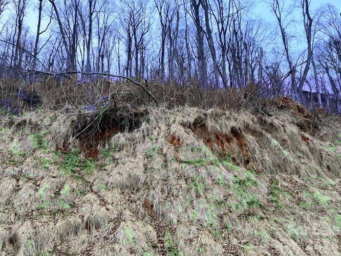 89 Weeping Cherry Forest Rd., Fairview, NC 28730