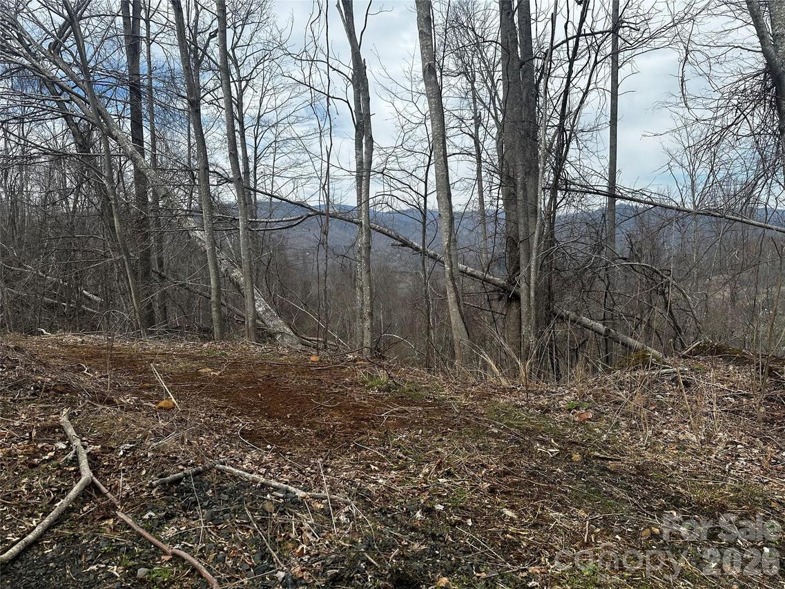 00 Bear Ridge Rd., Bakersville, NC 28705