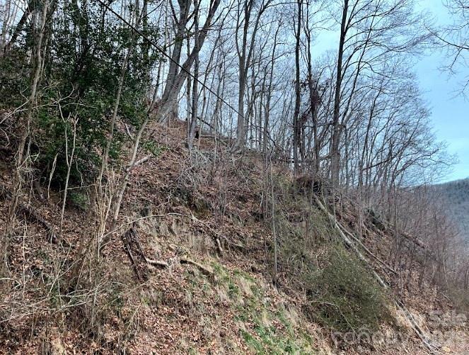 65 Weeping Cherry Forest Rd., Fairview, NC 28730