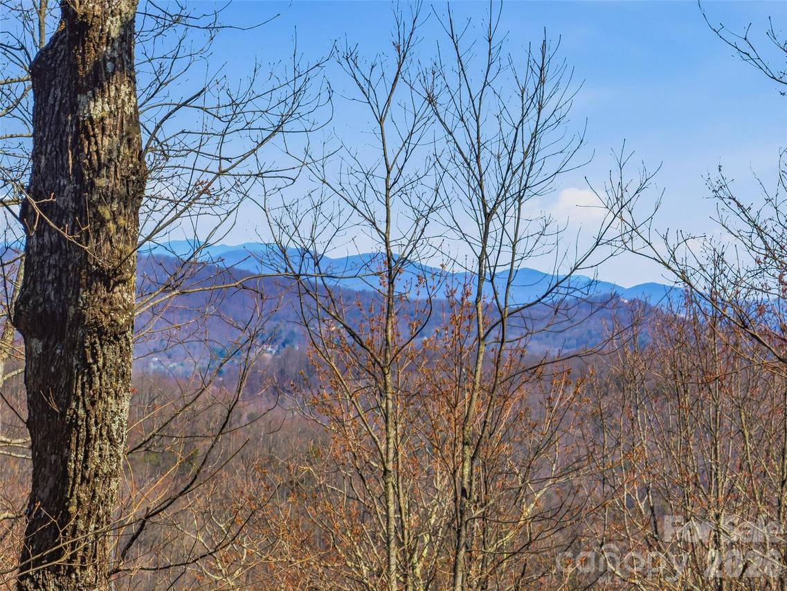 TBD Panther Mountain Rd. #18, Zirconia, NC 28790