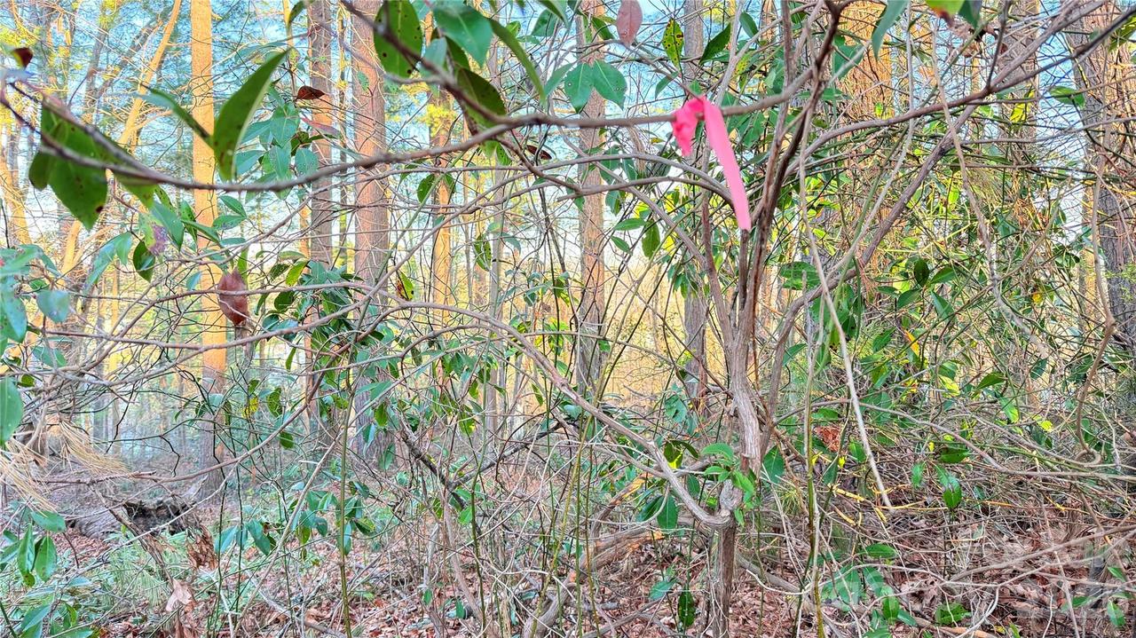 00 Toms Park Cir. #21&22, Hendersonville, NC 28792