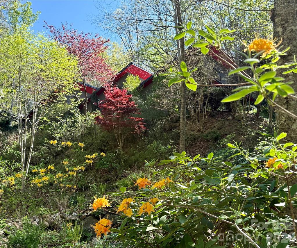33 Robinson Creek Rd., Asheville, NC 28803
