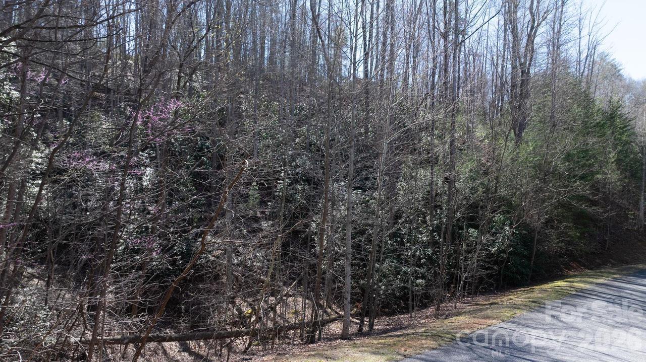 Lot 27-11 High Trail Dr., Nebo, NC 28761