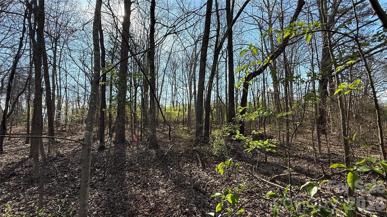 1361 Zeb Haynes Rd. #1, Maiden, NC 28650