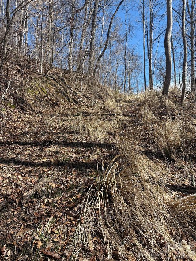 344 Running Deer Ln. #71, Mars Hill, NC 28754