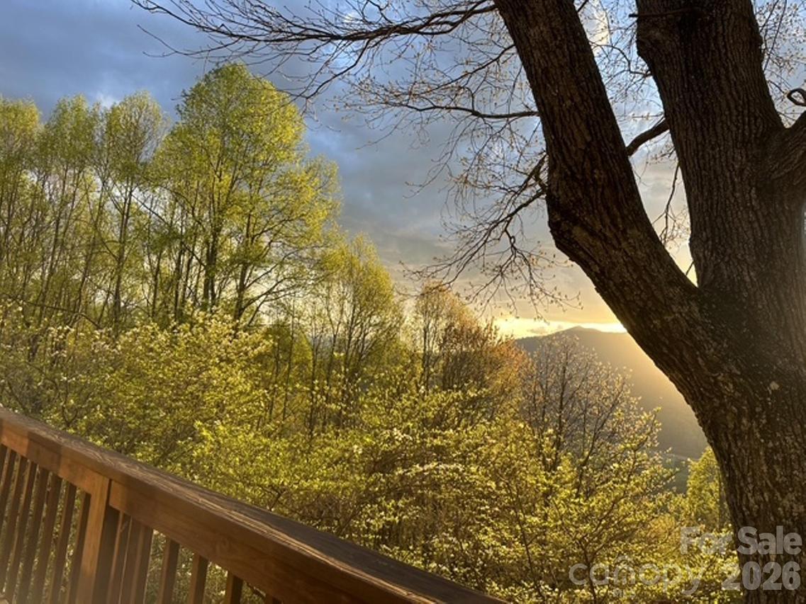 415 Treetop Ln., Waynesville, NC 28785