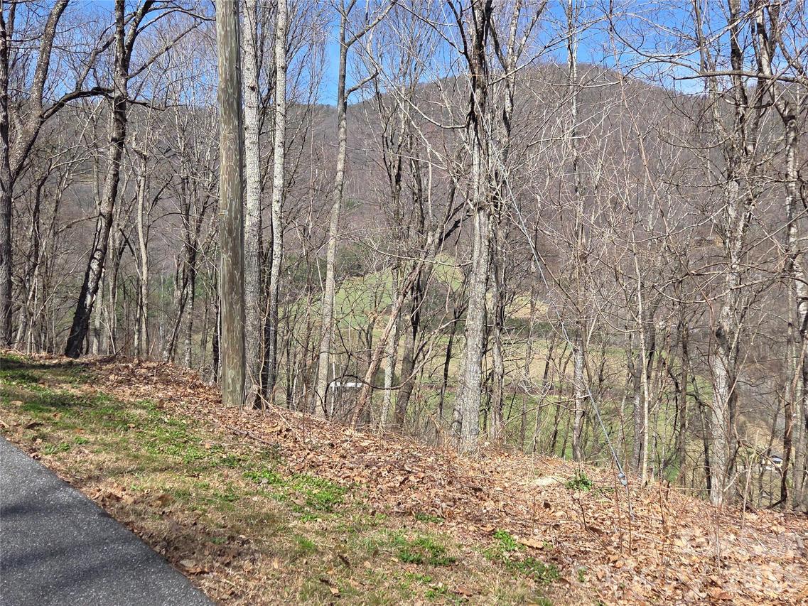 820 Chestnut Flats Ln. #4, Waynesville, NC 28786