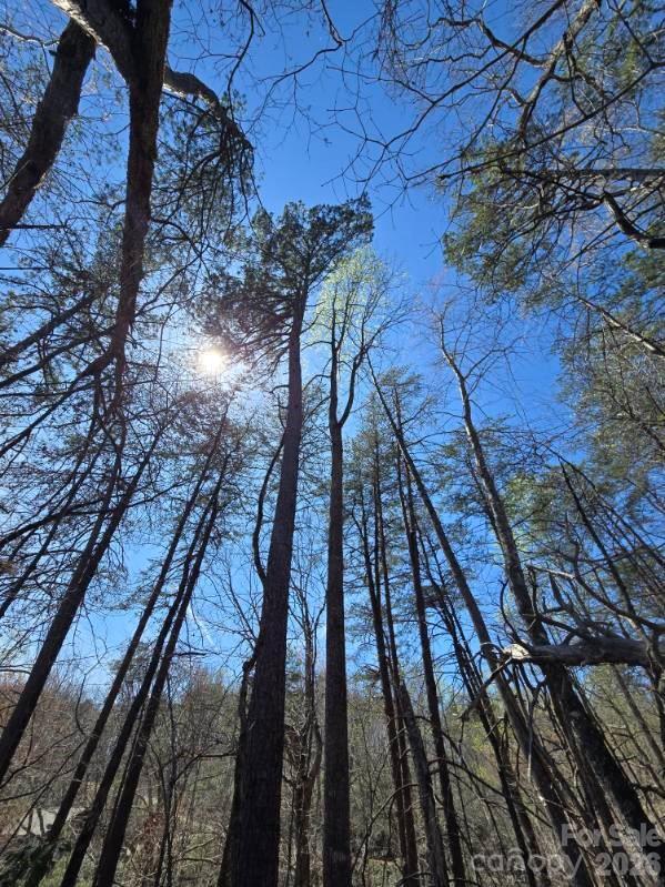 284 Oriole Dr., Lake Lure, NC 28746