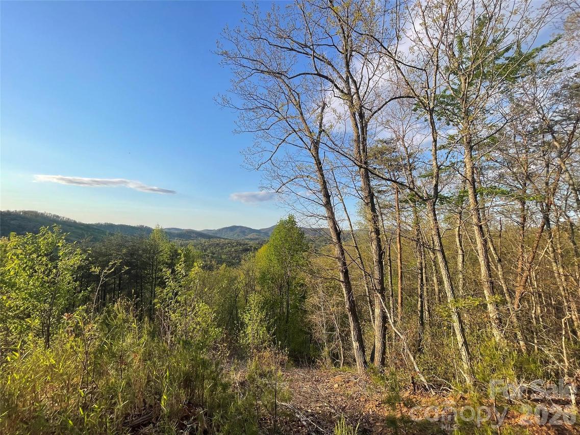 45 Woodgate Dr., Bostic, NC 28018