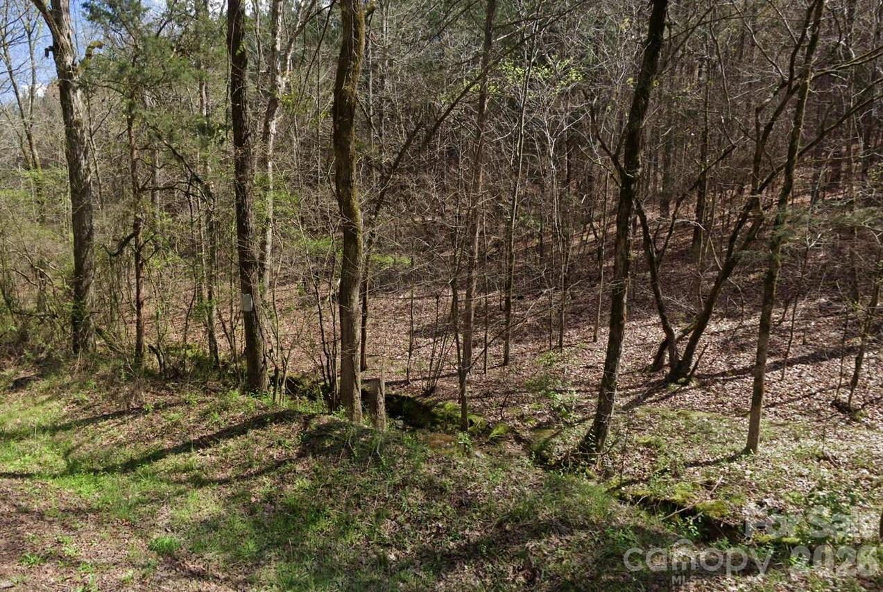 Morton Rd., Polkton, NC 28135