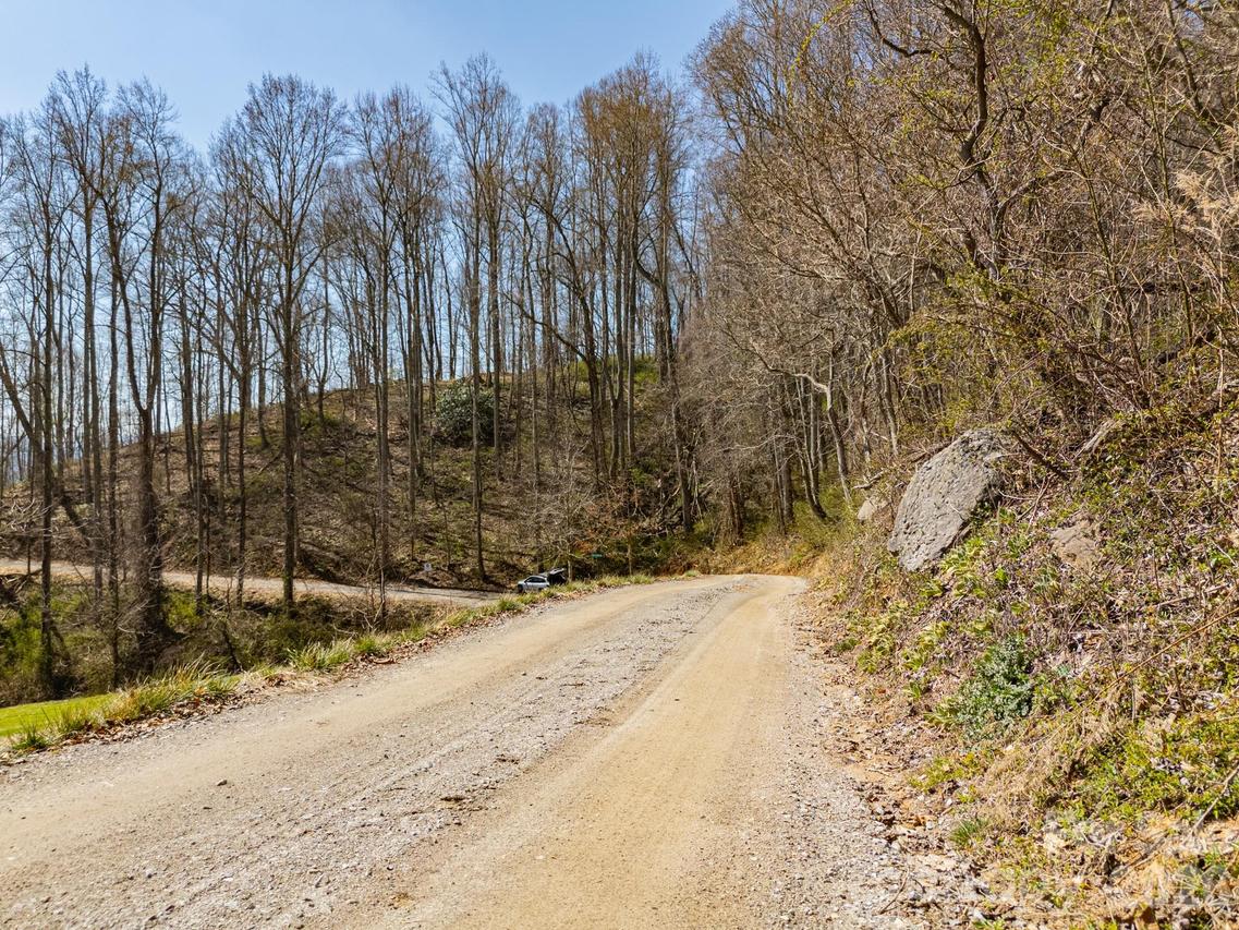 TBD Dads Retreat Tr., Canton, NC 28716