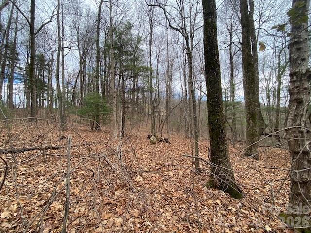 395 W Chestnut Ridges Rd. #14, Hendersonville, NC 28739