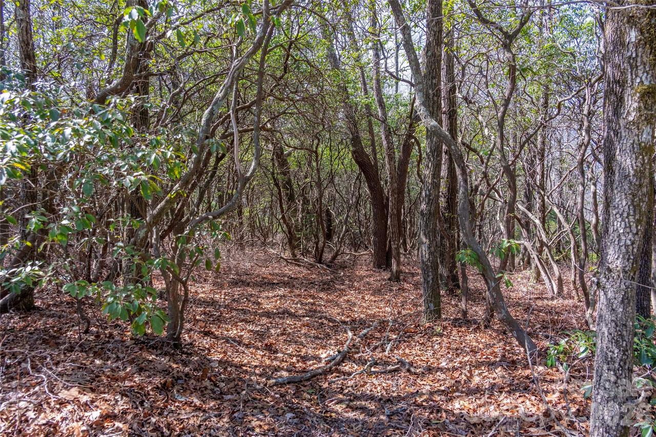 Lot 14 Lakeside Dr., Lake Toxaway, NC 28747