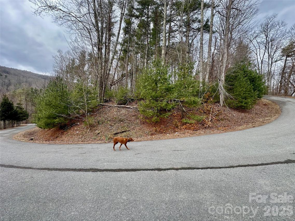 TBD Mantera Ridge, Sugar Grove, NC 28679