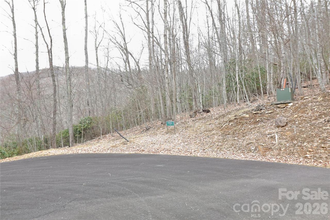 TBD Chardonnay Ct. #1, Newland, NC 28657