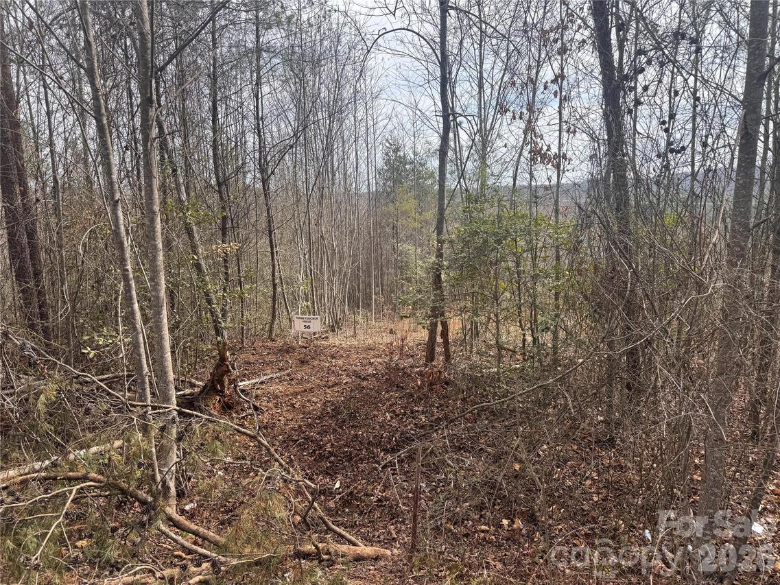 00 Billings Hill Church Rd. #56, Traphill, NC 28685