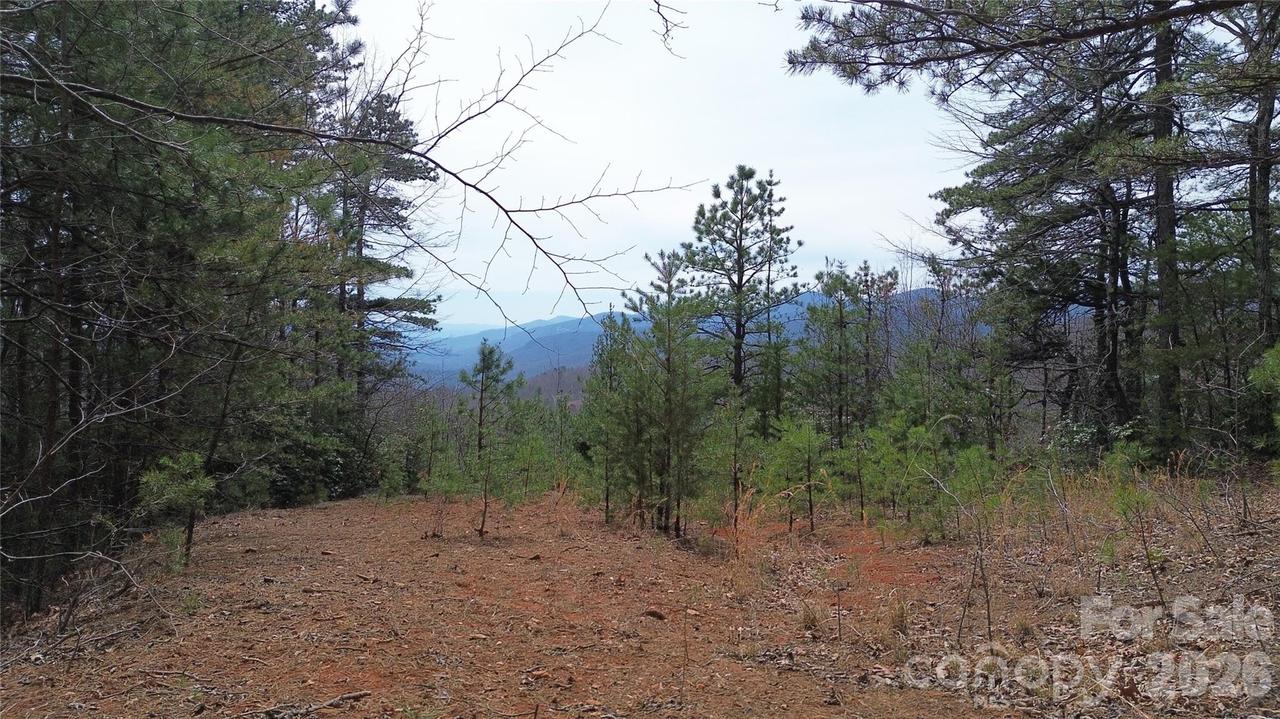 850 Harmonys Edge Dr., Old Fort, NC 28762