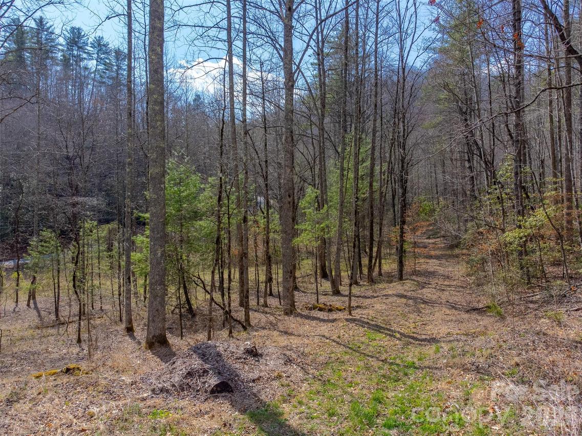 47.52 ac Little Snowbird Rd., Robbinsville, NC 28771