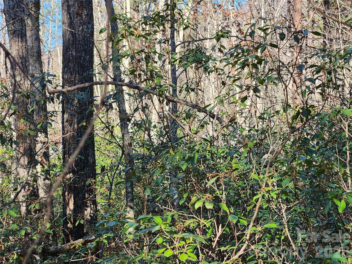Lot 4 Whitney Blvd., Lake Lure, NC 28746