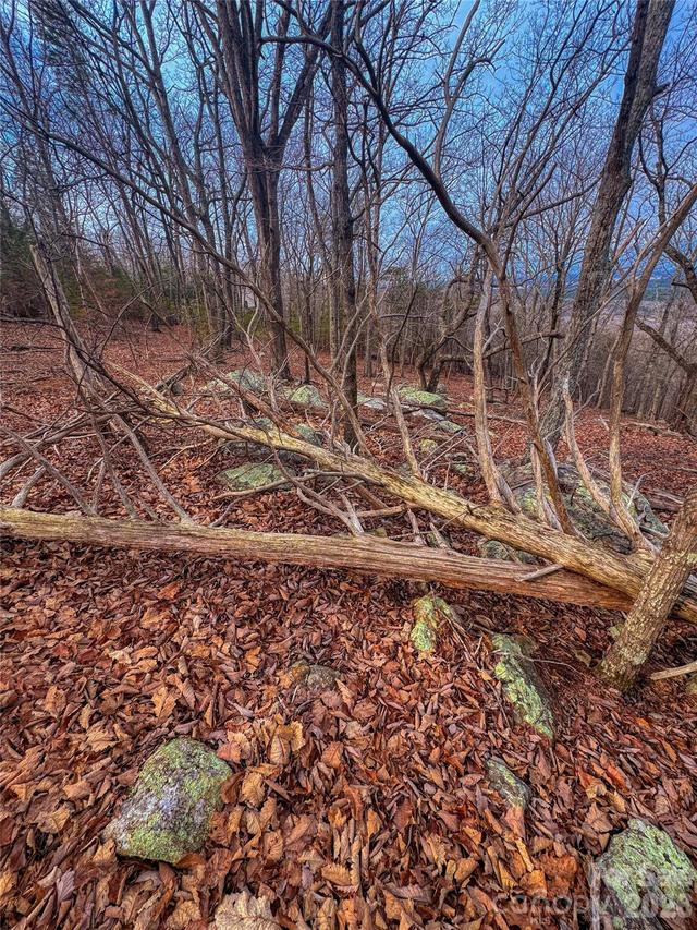 2243 Sierra Trace Rd., Denton, NC 27239