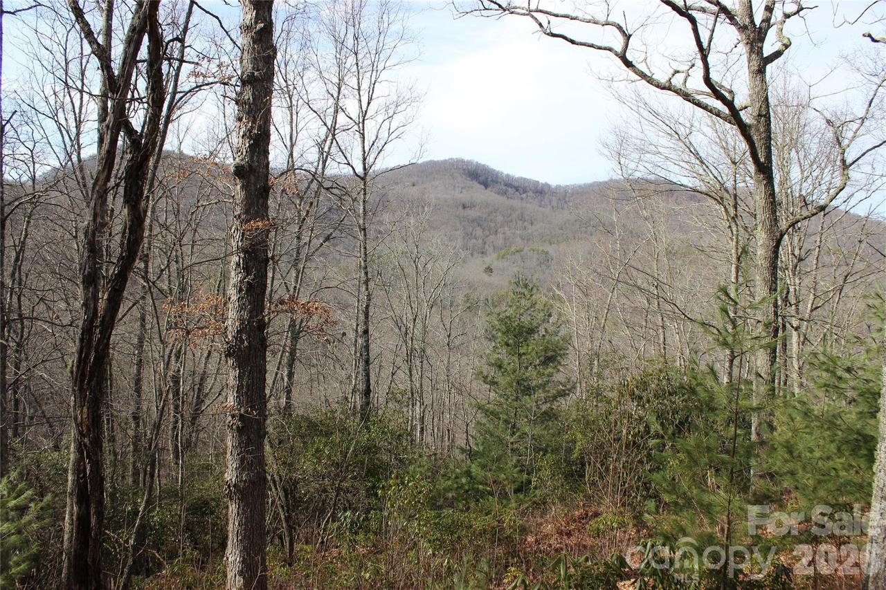 Lots 82 & 83 Waterdance Dr., Tuckasegee, NC 28783