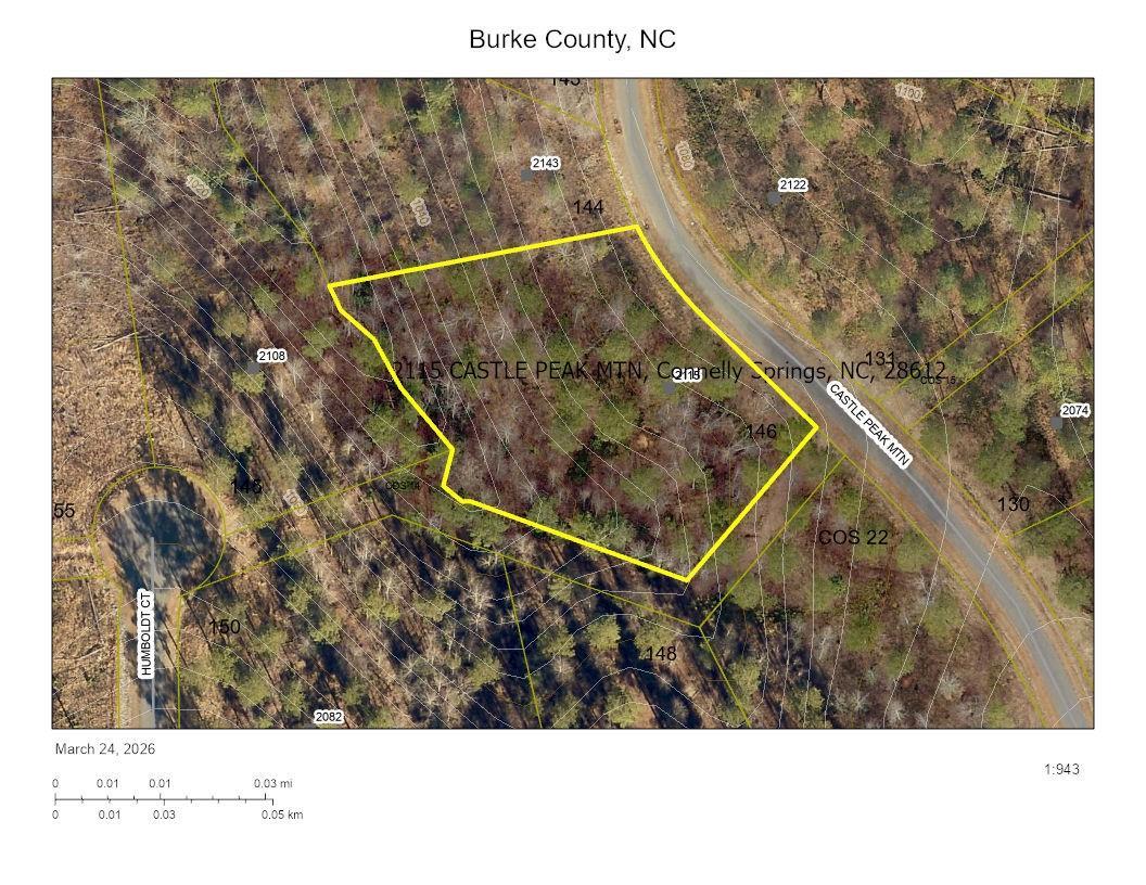 2115 Castle Peak Mountain None #146, Connelly Springs, NC 28612