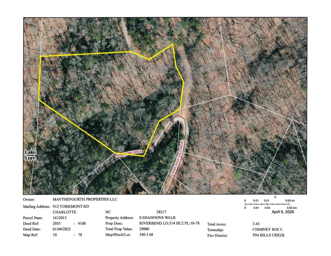 101 Shannons Walk #314, Lake Lure, NC 28746